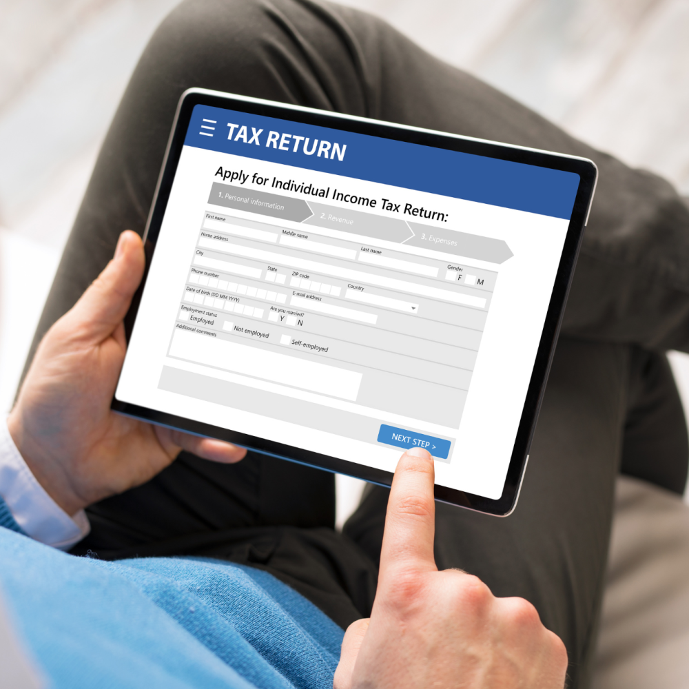 Tax Professional